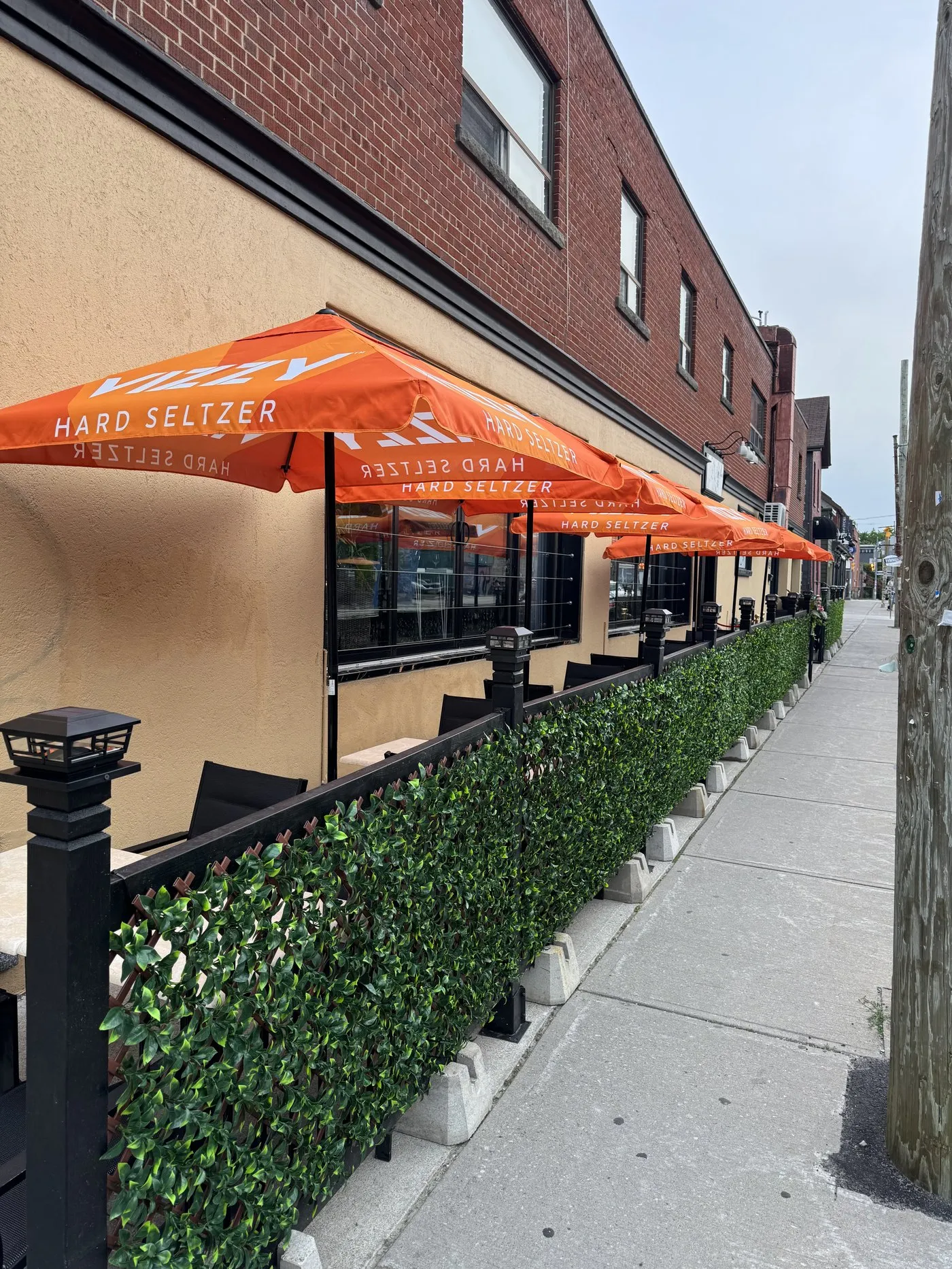 A leafy hedge running along the patio with umbrellas receding down the block
