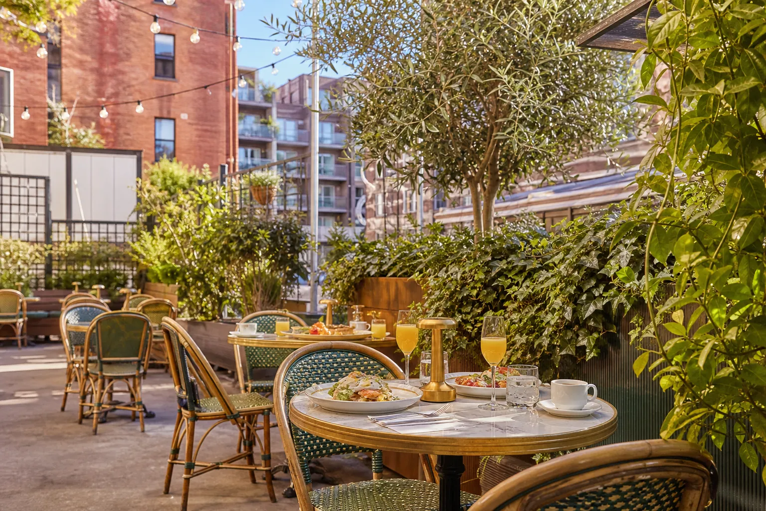 A sunny Little Italy patio with bistro tables, greenery and string lights